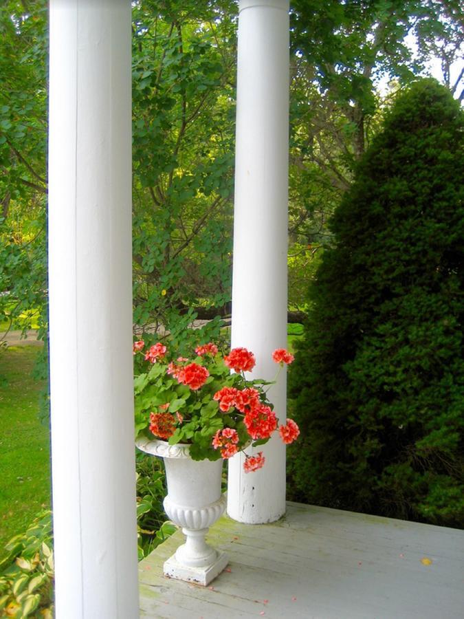Millbrook Country House Exterior photo